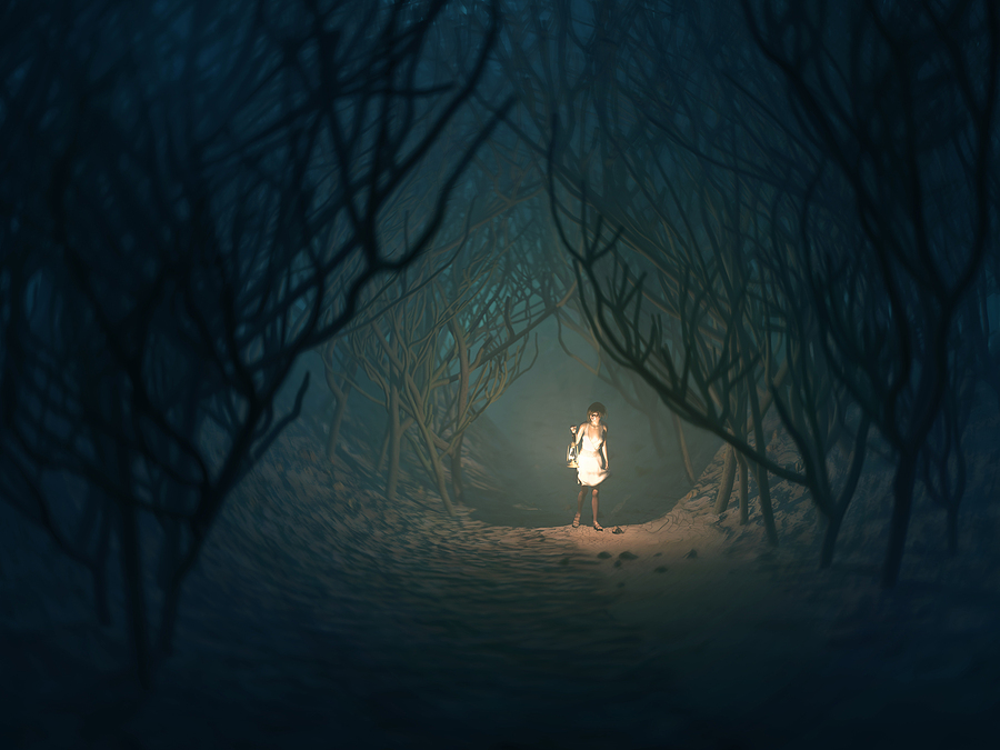Exploring the Wilderness: Day vs. Night