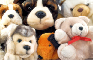 The Psychology Behind Why People Love Plush Animals at Any Age