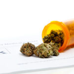 Wellness Dispensary Near You: Trusted Care and Quality Medical Marijuana