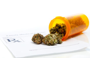 Wellness Dispensary Near You: Trusted Care and Quality